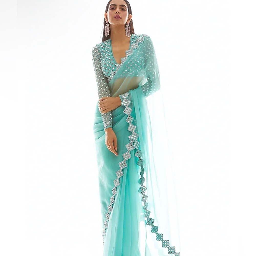 Vvani Vani Vats Biscay Green Organza Mirror Border Saree